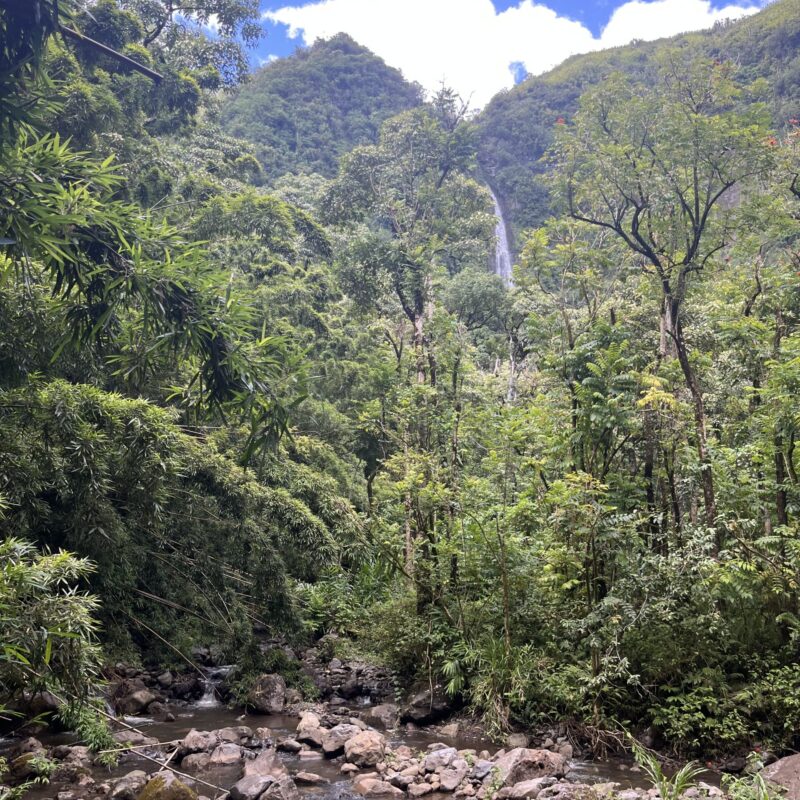 Mountain with lush forest and a small river and waterfall in the distance