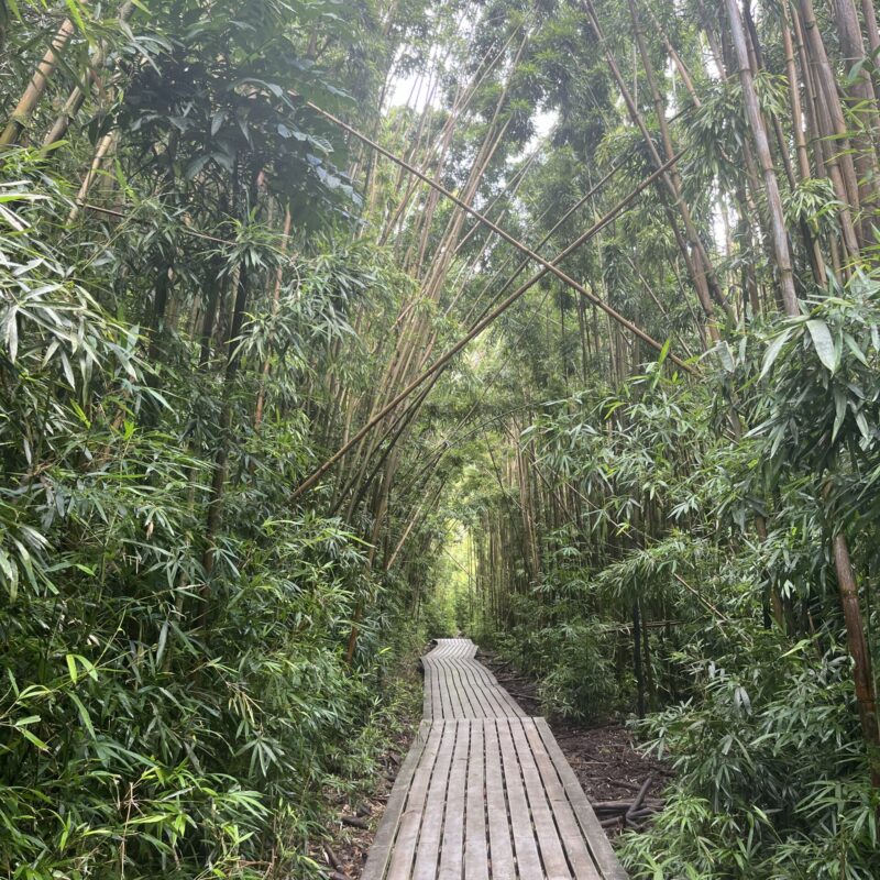 Hiking Trail