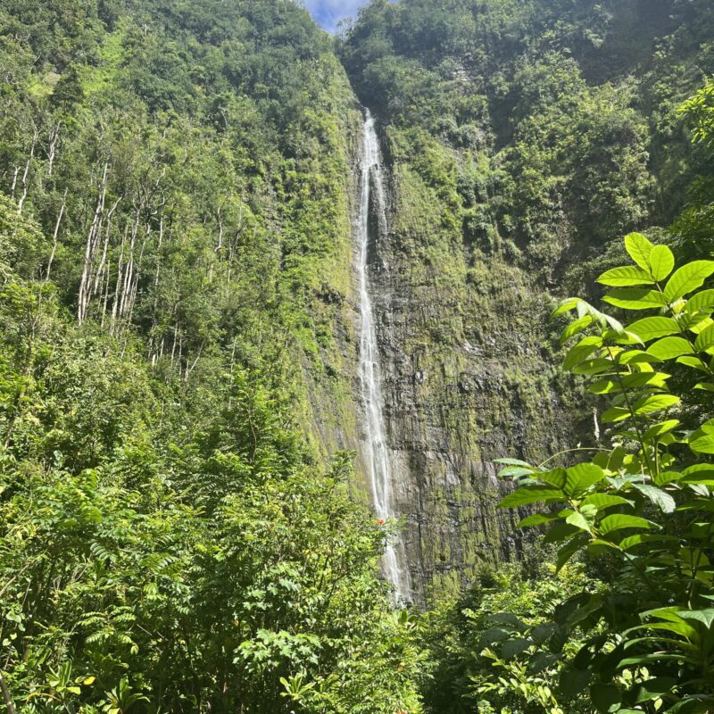 A waterfall