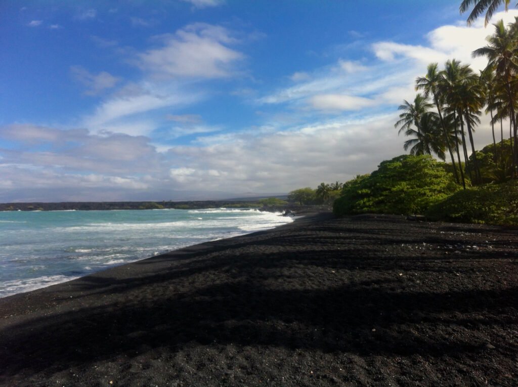 Palms at Kīholo Bay