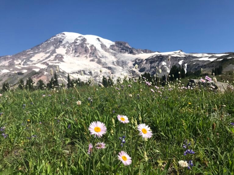 10-Day Pacific Northwest National Parks Loop