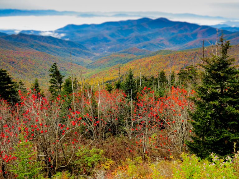 How to Choose the Best Time to Visit National Parks