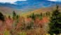 Autumn view from Kuwohi