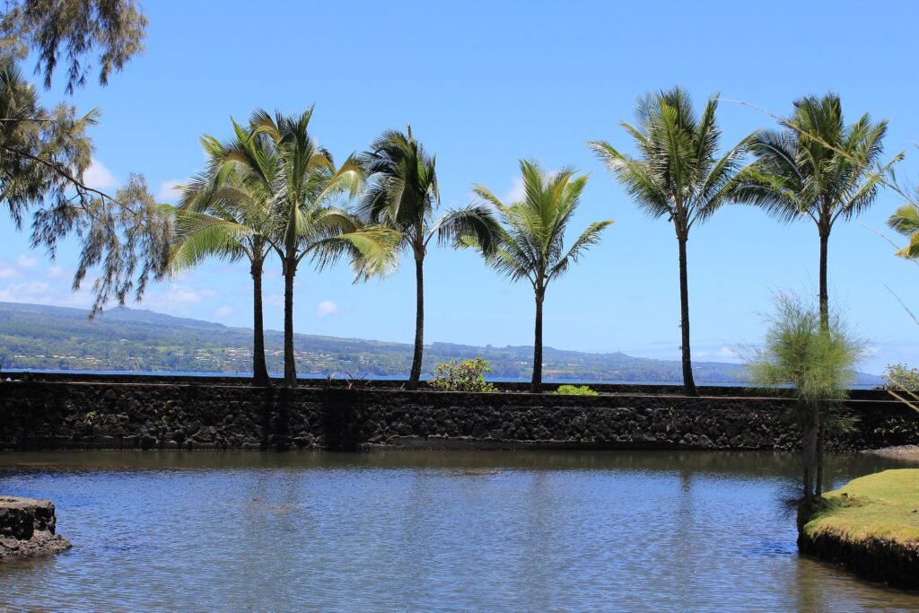 Hilo bayfront