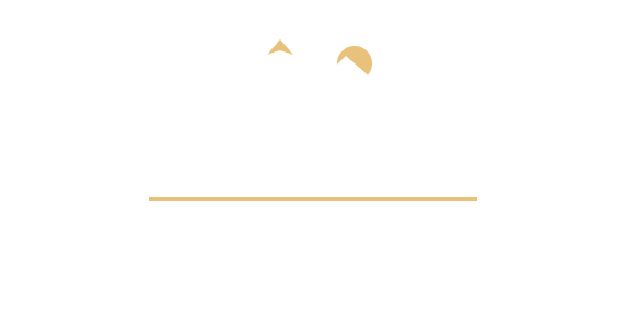 light logo