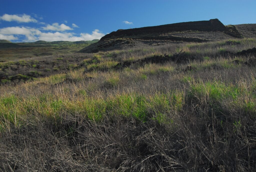 Puʻukoholā Heiau above the Kohala coast