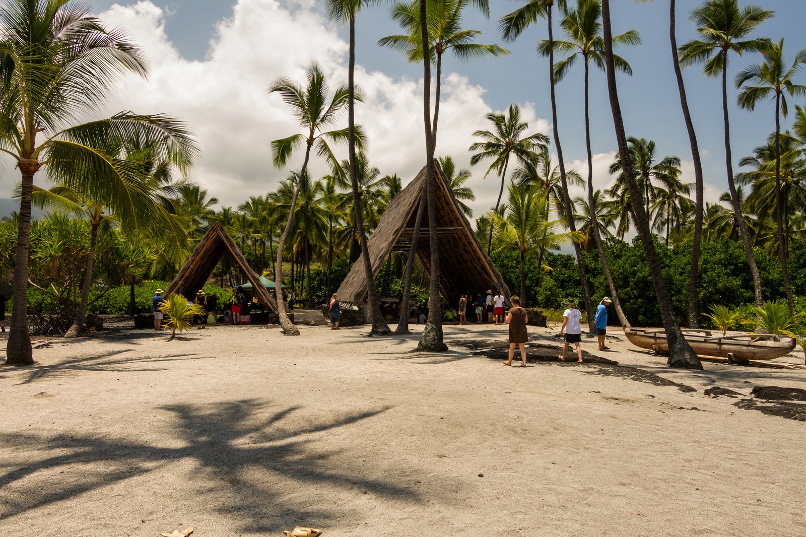Hawaiian hale among the palms at Puʻuhonua o Hōnaunau