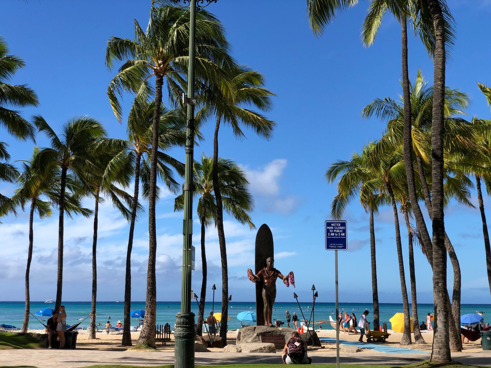 Palms along Waikīkī Beach